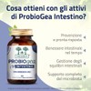 ProbioGea Intestino Salugea - 60 capsule - Probiotico per l’intestino