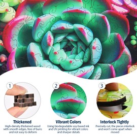 Wooden Puzzles for Adults, Unique Shaped Wood Puzzle, Mandala Succulent Puzzles, Plant Jigsaw Puzzle, Family Games for Kids and Adults, 300 Piece 15.35" x 14.76"