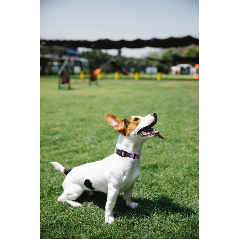 Aiminto Dog Collar, Cute Floral Pattern, Soft and Adjustable Collar