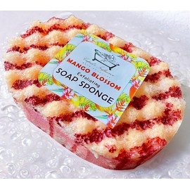 Mango Blossom Exfoliating Soap Filled Sponge | Exfoliating Body Wash | Shower Puff | Mango Body Wash | Tan Remover & Body Scrub | Shower & Bath Products | Stocking Fillers | Father's Day Gift