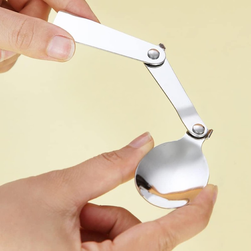 2 Pcs Foldable Stainless Steel Spoons Forks with 2 Case
