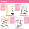 Gakken Staefl N04810 Infant Educational Teaching Materials 6 Years Old