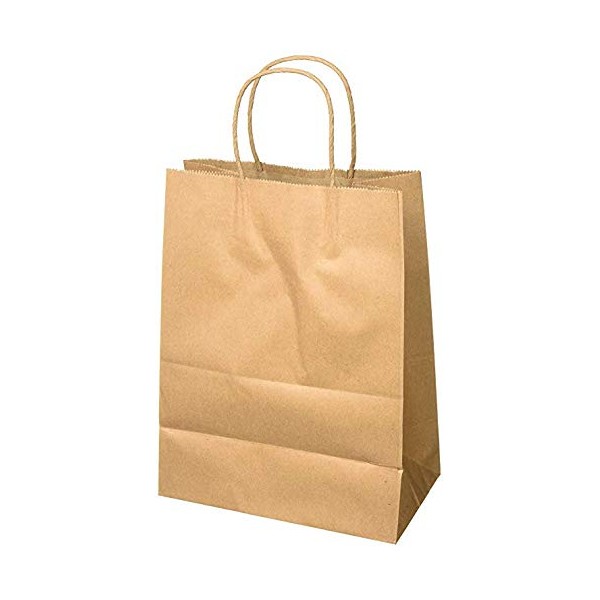Novel Tech String Handle Brown Paper Bags 12.5 x 4.75 x 10.25 inch 50Pcs Gift Bags, Shopping Bags, Kraft Bags, Retail Bags, Party Bags etc (50)