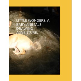 LITTLE WONDERS: A BABY ANIMALS DRAWING ADVENTURE.