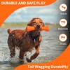 BIONIC Urban Stick - Juguete para Perros de hasta 20