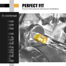 NICECNC Gold Horn Cover Mounting Nut Kit Aluminum CNC-machined Horn Cover Decorative Nut Compatible with Harley Road King Special FLHRXS 2017-2024, Replacement for 7549A, See Fitments