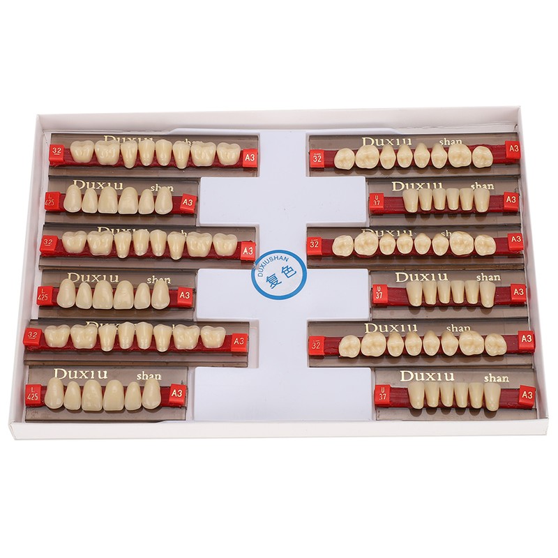 Dental Synthetic Resin False Teeth Dental Material Teeth Denture Dentist