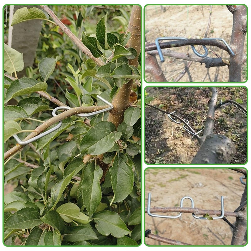 YYTECH Branch Puller Branch Separator for Fruit Trees, Pack of