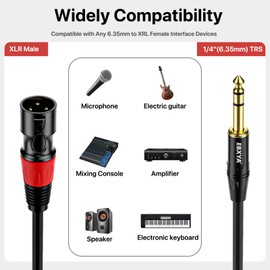 EBXYA 1/4 to XLR Cable - 6.35mm TRS Plug to Balanced 3-pin Male XLR Microphone Cable, 3 Feet 2 Pack