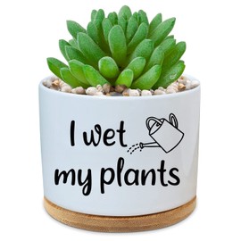 KBWUZ Funny Ceramic Succulent Cactus Planter Pot - I Wet My Plants White Mini Cactus Plant Office Garden Home Decor for Teacher, Mom, Grandma, Plant Lover Appreciation Gift (Not Included Plant)