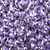 Candy Retailer Blackberry Cobbler Candy Corn 1 Lb