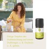 Primavera PRIMAVERA Lebenslust Duftmischung 5 ml - Grapefruit, Spearmint und
