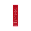 Schwarzkopf Igora Royal Premium Hair Colour, Pack of 1 (60
