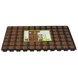 Eazy Plug Tray 77 Cubes