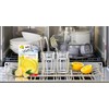 Wellnax Dishwasher Cleaner and Deodorizer - Rinse aid, Dishwashing Machine