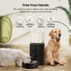 CZPET Automatic Dog and Cat Water Dispenser with Stainless Steel