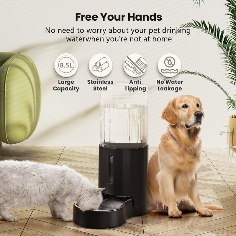 CZPET Automatic Dog and Cat Water Dispenser with Stainless Steel