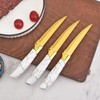 Kitchen Knife Set Non Stick Knives with Block, Serrated Steak