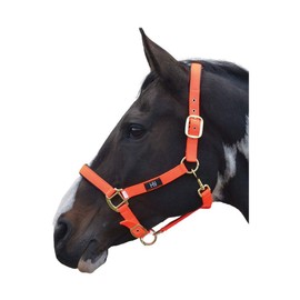 Hy Grand Prix Head Collar Hot Orange Cob