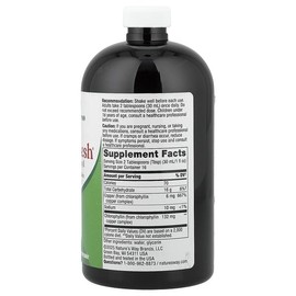 Nature's Way, Chlorofresh®, Liquid Chlorophyll, Unflavored, 480ml (16 fl oz) / Nature's Way (네이처스웨이), Chlorofresh®, 액상 엽록소, 무맛, 480ml(16fl oz)