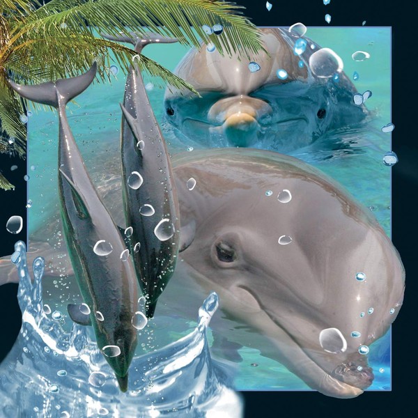 Boston International Worth Keeping Augmented Reality 4D Art Card and