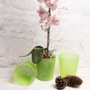 Home Garden Ornaments Orchid Pots, Flower Planter - Decorative Semi