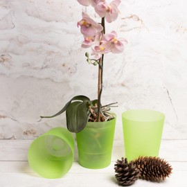 Home Garden Ornaments Orchid Pots, Flower Planter - Decorative Semi Transparent Plastic Orchid Pot with Inner Cone for Hydration, Set of 3 (Diameter: 12cm, Colour: Green)