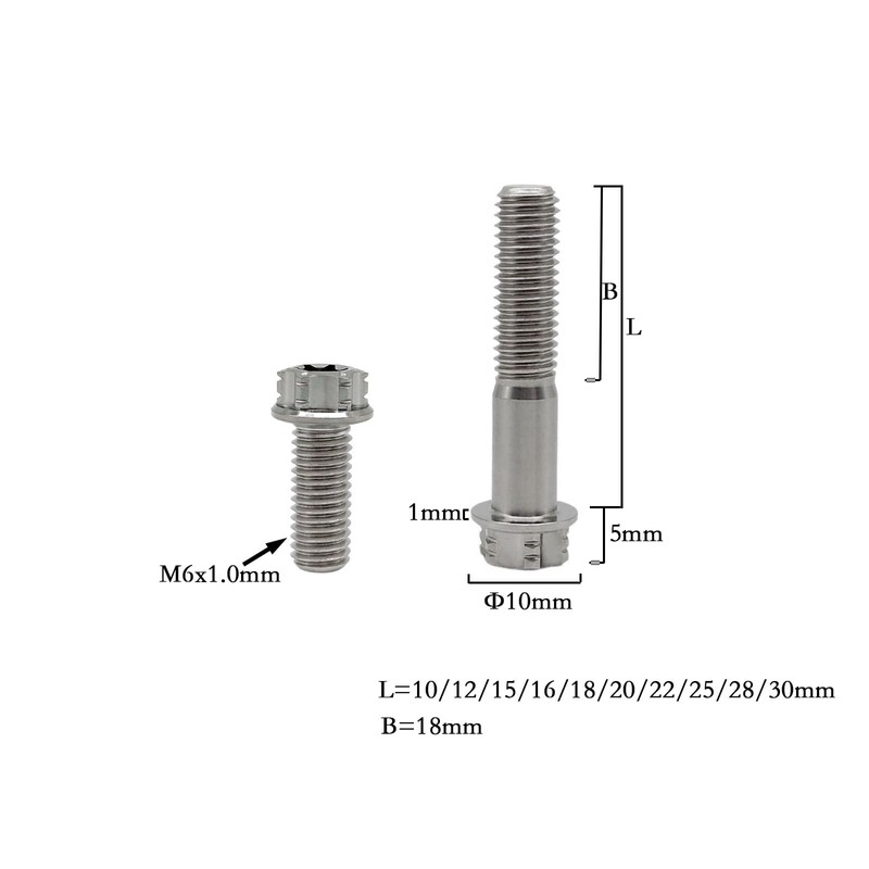 RISON-Titanium Titanium Screws M6 x 1.0 x 16 mm, Pack
