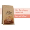 One 'n Only Powder Hair Color Kit, Dark Golden Blonde,