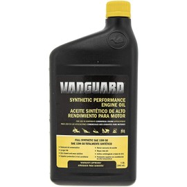 Oil Change kit fit's some Briggs and Stratton Big Block Vanguard 100169 Oil 842921 Oil filter