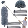 2 Pack 20 Foot High Reach Dusting Kit with 3-14