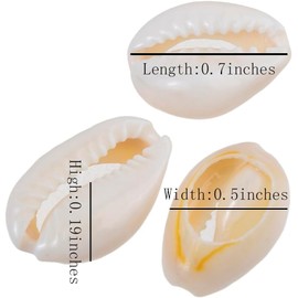 Shells for Crafts, Shell Beads, Shells for Threading, DIY Shells for Crafts, Natural for Decoration or Jewellery Making