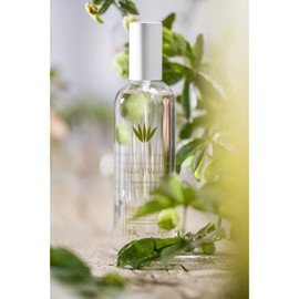 Provence Sante Eau de Toilette Spray - Luxury Long-Lasting Fragrance - Vetiver Scent - Elegant Perfume Gift - Made in France - 3.5 Oz