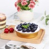 Beasea Disposable Pie Tins 4 Inch, 50 Pack Mini Tart