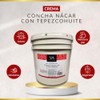 Crema Concha Nacar Con Tepezcohuite Corporal y Facial 4 Kilos