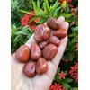 GAF TREASURES Wholesale Red Jasper Tumbled Stones, Polished Red Jasper