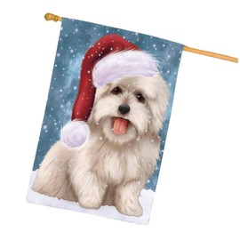 Doggie of the Day Coton De Tulear Dog House Flag - Christmas Let it Snow - Holiday Outdoor Double Sided Pet Portrait Home Garden Decor 28"w x 40"h, HFLG60923