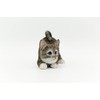 DecoTrend GmbH Decorative Figurine Little Cat Lurking 11.5 x 7
