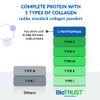BioTrust Ageless Multi Collagen Protein | 5 en 1 Collagen