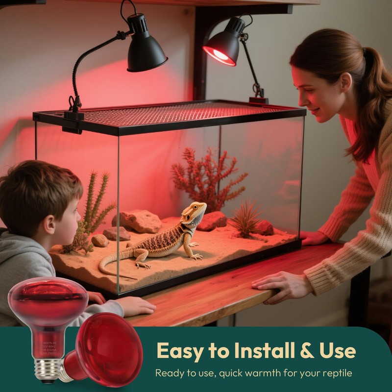 ALAMPEVER 2 Pack Red Heat Lamp Bulb, 75 Watt Infrared