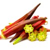 Okra Red 20+ Non-GMO Seeds for Planting