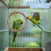 Bird Swing, Bird Toy, Swing for Small Birds, Pet Swing,