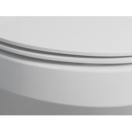 Kohler K-30783-0 Lithe Quiet-Close Elongated Toilet seat with Grip Tight Bumpers, White