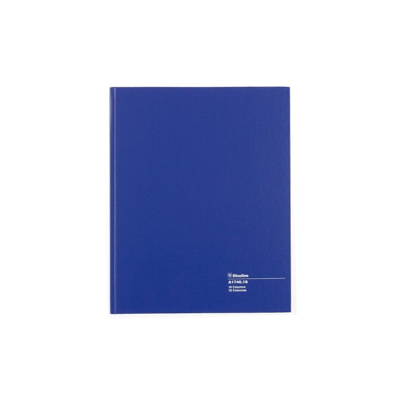 Blueline Columnar Book, Perfect Binding, 18 Columns with Description, 80
