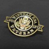 Vietnam Era Veteran Lapel Pin VetFriends.com