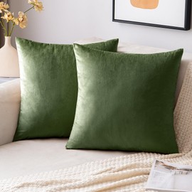 EMEMA Velvet Cushion Cover, Decorative, for Sofa, Bedroom, Lumbar Cushions, Scatters, with Hidden Zip, Set of 2, 40 x 40 cm, Matcha Green