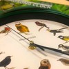 STARLYF Wall Clock Birdsong Clock, Original, With 12 native songbirds,