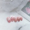 Bouvardia - Paddy / 부바르디아 - 패디
