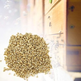 Hztyyier 1000/10000 Pieces Beekeeping Tools Beehive Brass Nest Frame Eyelets Bee Hive Nesting Box Beekeeper Tools (Pack of 1000)