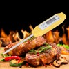 Digital Food Thermometer Automatic Calibration Pen Style High Accuracy Electronic